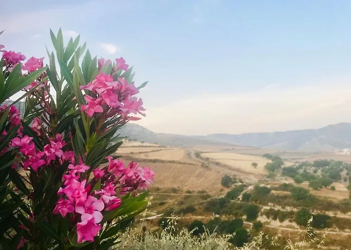 Panoramic Holidays Διαμέρισμα